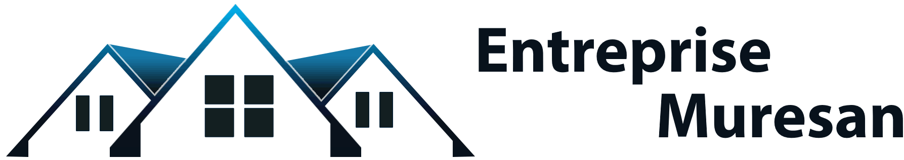 Entreprise Muresan